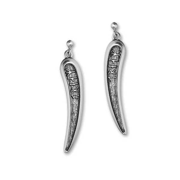 Dream Silver Earrings E1800