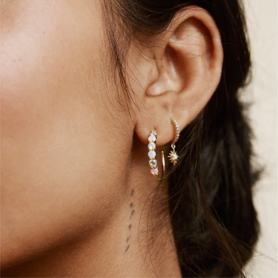 Earrings 